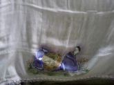 fralda para menina